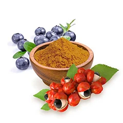 Funkcje umysłowe, układ nerwowy, stres