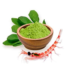 Serce i układ krążenia