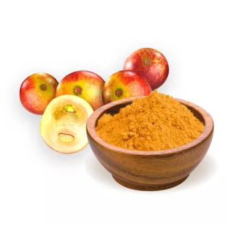 BioMenü proszek z ekologicznym camu camu 60 g obraz produktu