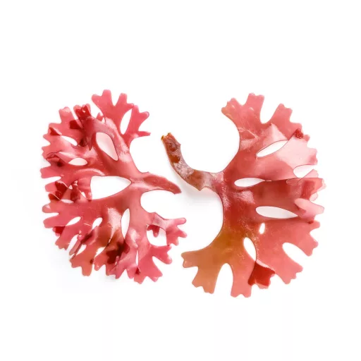 Caleido kapsułki żelowe z astaksantyną 60 szt. tworzywo