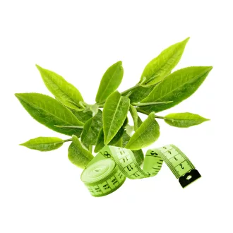 Caleido greenslim zielona herbata kapsułki 90 szt. obraz produktu