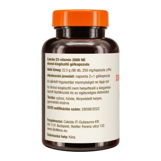 Caleido kapsułki żelowe witaminy D3 2000 NE 90 szt. obraz produktu