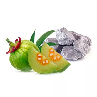 Caleido garcinia cambogia + chrom kapsułki 60 szt. obraz produktu