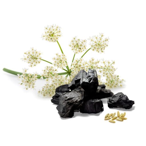 Caleido kapsułki z anyżem + aktywnym węglem 60 szt. tworzywo