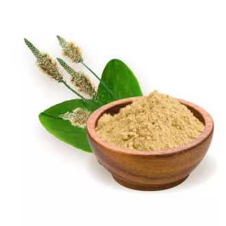 BioMenü mąka z łupin nasion psyllium ekologiczna 125 g obraz produktu