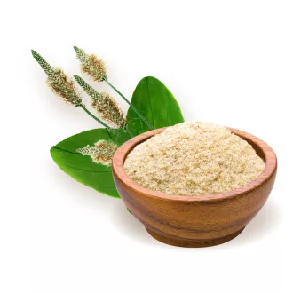 BioMenü łupiny nasion psyllium ekologiczne 125 g obraz produktu