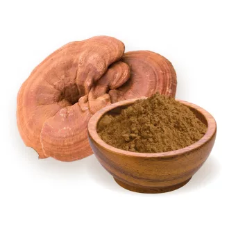 BioMenü ekologiczny proszek z grzybem ganoderma 100 g obraz produktu