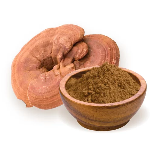 BioMenü ekologiczny proszek z grzybem ganoderma 100 g tworzywo