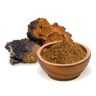 BioMenü ekologiczne proszek z grzyba chaga 100 g obraz produktu