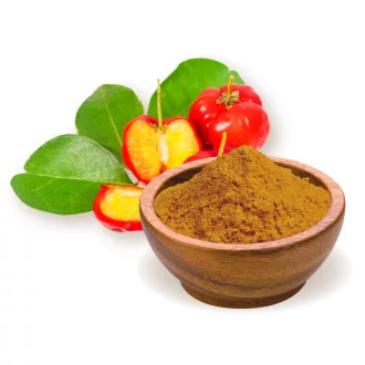 BioMenü proszek z jagód aceroli bio 60 g obraz produktu