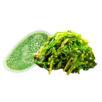 BioMenü ekologiczne kapsułki z algami chlorella i spirulina 60 szt. obraz produktu