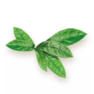 BioMenü ekologiczne kapsułki z herbatą matcha 60 szt. obraz produktu