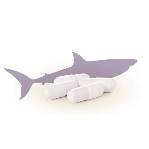 Caleido kapsułki z chrząstką rekina 60 szt. tworzywo