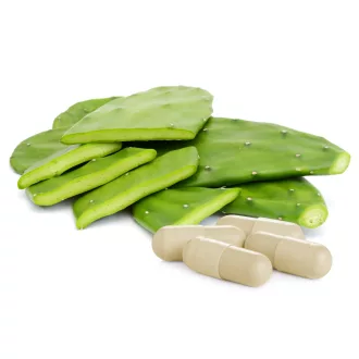 Caleido opuncja figowa + prebiotyk kapsułki 60 szt. obraz produktu