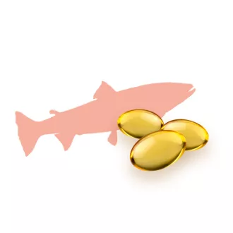 Caleido kwas linolowy + olej z ogórecznika omega 3-6-9 kapsułki żelowe 60 szt. obraz produktu