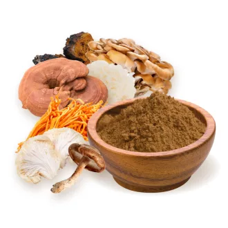 BioMenü mieszanka 7 grzybów bio w proszku 100 g obraz produktu