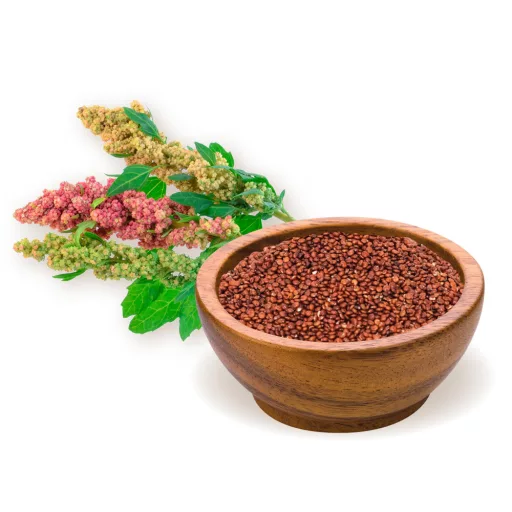 BioMenü ekologiczne ziarna quinoa czerwone 250 g tworzywo