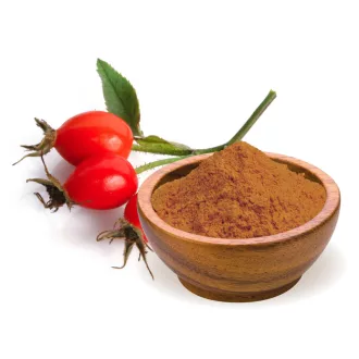 BioMenü ekologiczne proszek z dzikiej róży 125 g obraz produktu