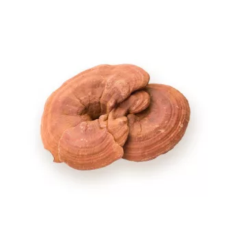 BioMenü ekologiczne kapsułki z grzybem ganoderma 60 szt. obraz produktu