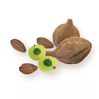 BioMenü kapsułki triphala ekologiczne 60 szt. obraz produktu