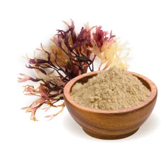 BioMenü organiczny proszek z irlandzkiego mchu 125 g obraz produktu
