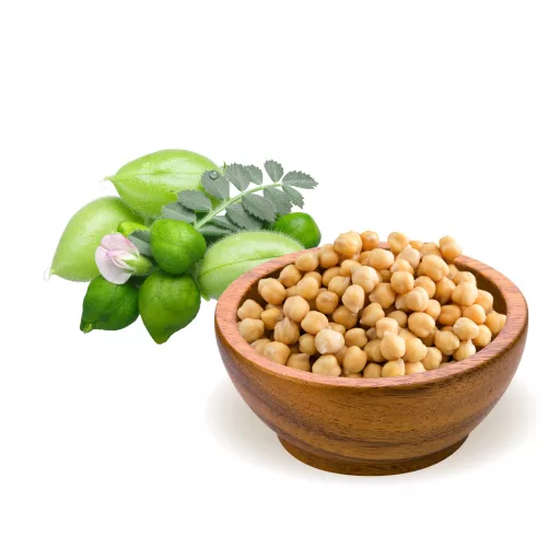 BioMenü ekologiczne ciecierzyca 500 g tworzywo