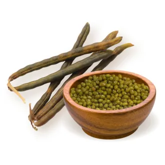 BioMenü fasola mungo ekologiczna 500 g obraz produktu