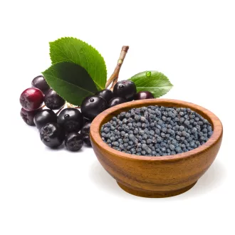 BioMenü ekologiczna czarna jagoda 125 g obraz produktu