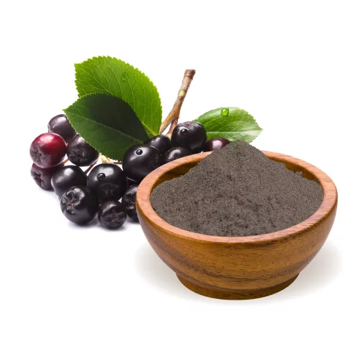 BioMenü ekologiczna czarna jagoda w proszku 125 g tworzywo