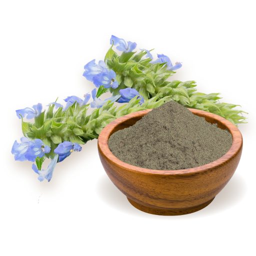 BioMenü ekologiczne białko chia 250 g tworzywo