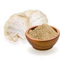 Grzyb soplówki jeżowatej