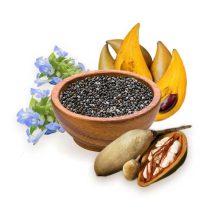 Probava, želudac, crijevni sustav