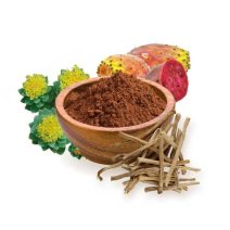 Równowaga poziomu cukru we krwi