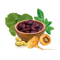 Funkcjonowanie mózgu