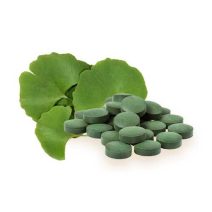 Miłorząb dwuklapowy